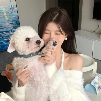 睡觉的笨蛋